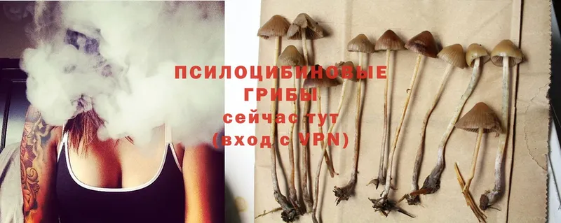 магазин продажи   Улан-Удэ  Галлюциногенные грибы MAGIC MUSHROOMS 